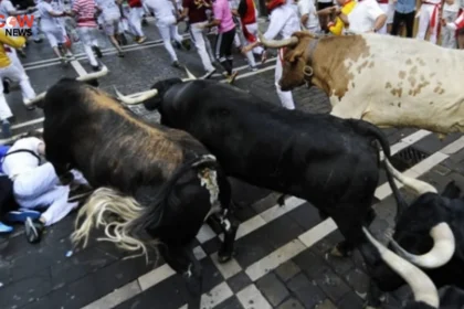 64-Year-Old Woman Killed During Spanish Bull Run - The COW News