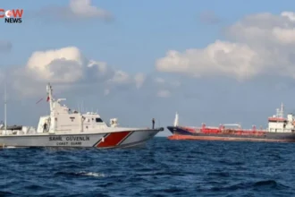 Cargo Ship Sinks Near Istanbul After Collision, Ten Missing - The COW News