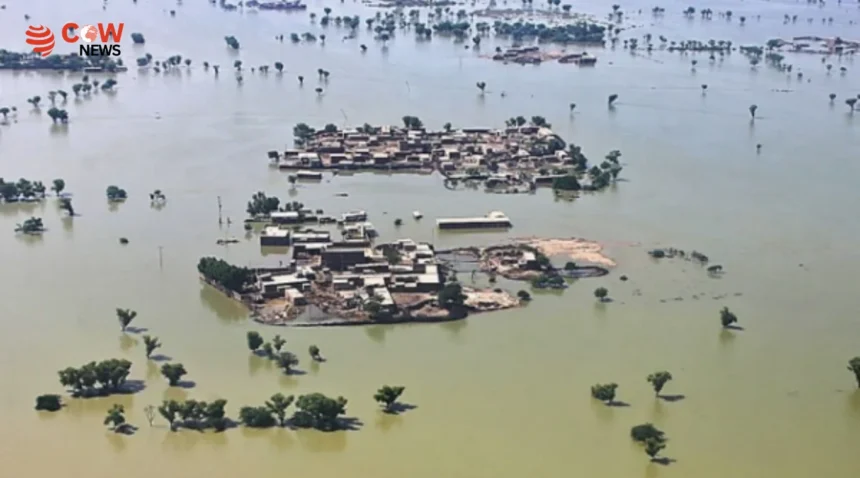 Flood Alert Issued Across Pakistan as Rains Continue 1 Flood Alert Issued Across Pakistan as Rains Continue - The COW News