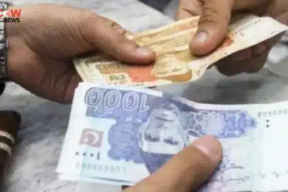 Govt Reduces National Savings Profit Rates For September - The COW News