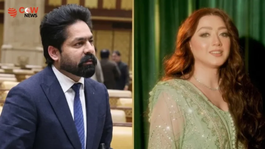 Momina Iqbal Vows to Release Harassment Case Evidence 1 Momina Iqbal Vows to Release Harassment Case Evidence - The COW News