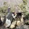 RAW-Taliban Proxy Network Active in Pakistan: Intelligence Sources - The COW News