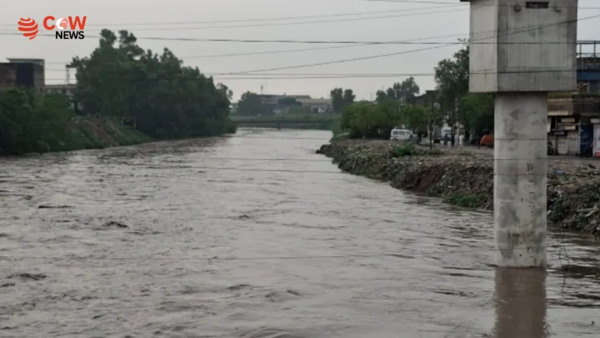 Heavy Rains Paralyze Twin Cities, Rawalpindi Declares Holiday - The COW News