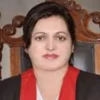 Lahore High Court Seeks Punjab Police Report Over Pending Cases - The COW News