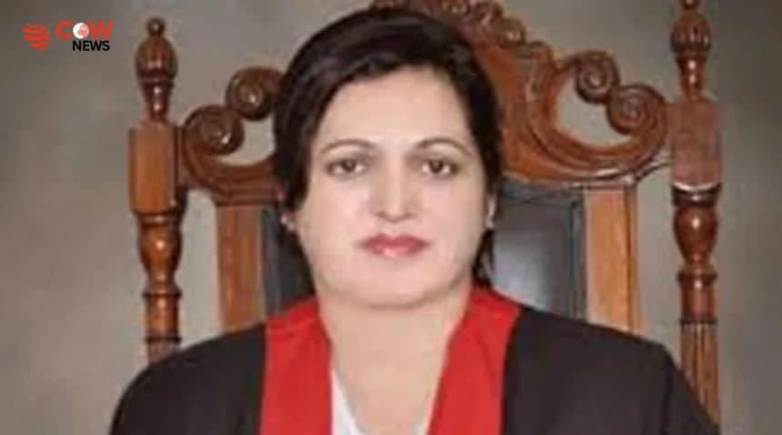 Lahore High Court Seeks Punjab Police Report Over Pending Cases - The COW News