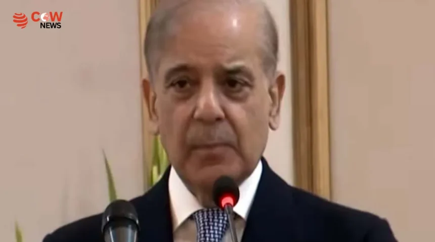 PM Defends Governor’s Rule in KP, Says Delay Could Have Caused Greater Damage 1 PM Defends Governor’s Rule in KP, Says Delay Could Have Caused Greater Damage - The COW News