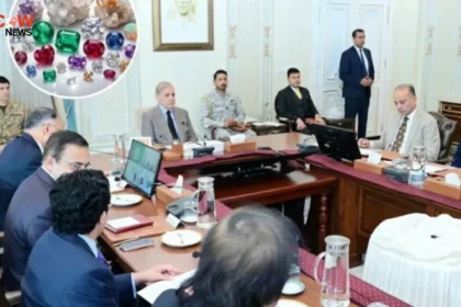 PM Shehbaz Orders Brand Pakistan for Gemstone Exports - The COW News
