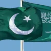Pakistan Condemns Houthi Attack on Madinah Power Facility - The COW News