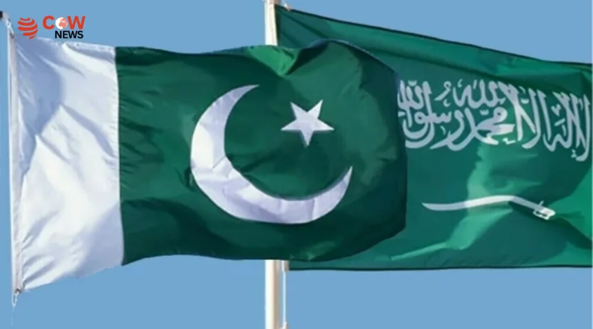Pakistan Condemns Houthi Attack on Madinah Power Facility 1 Pakistan Condemns Houthi Attack on Madinah Power Facility - The COW News