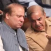 Shehbaz Sharif Meets Nawaz Sharif Over Political Talks - The COW News