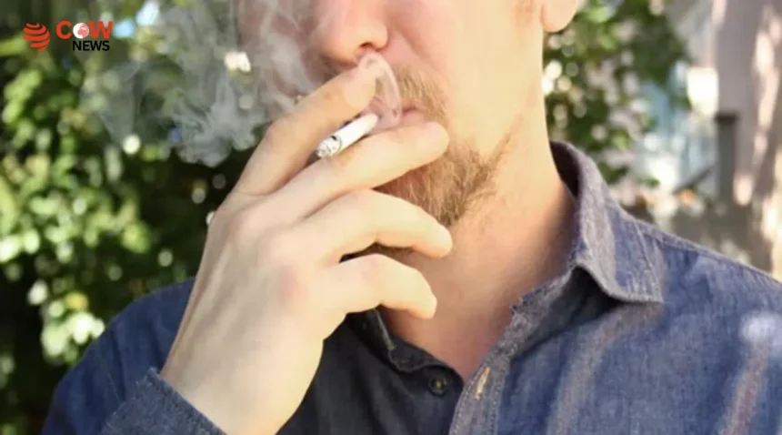 Smoking May Harm Male and Female Fertility, Study Finds 1 Smoking May Harm Male and Female Fertility, Study Finds - The COW News
