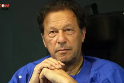 Sohail Afridi Urges PTI To Maintain Imran Khan Demands - The COW News
